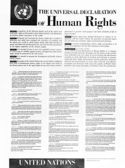 Declaración Universal de los Derechos Humanos de 1948