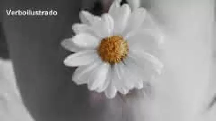 Reproducir poema: Discurso por las flores, de Carlos Pellicer | Verboilustrado